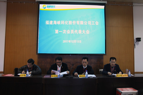 羅聯(lián)河：公司成功召開(kāi)工會(huì)第一次會(huì)員代表大會(huì)（圖為大會(huì)現(xiàn)場(chǎng)）.jpg