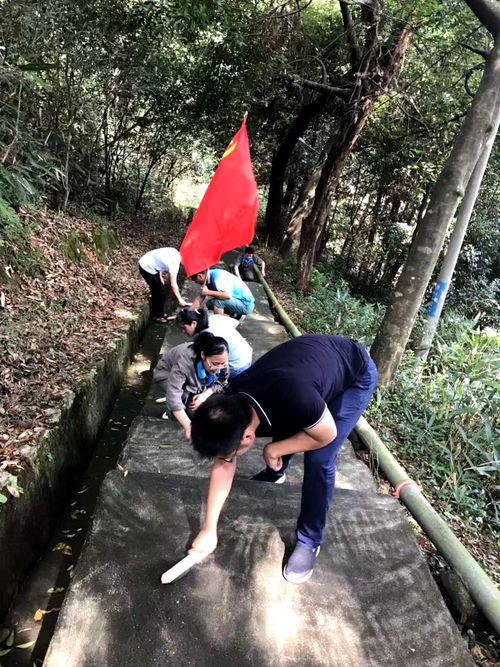 陳宏金：不忘初心 牢記使命，永春分公司組織機(jī)關(guān)黨員清理上下班臺階的青苔1.jpg
