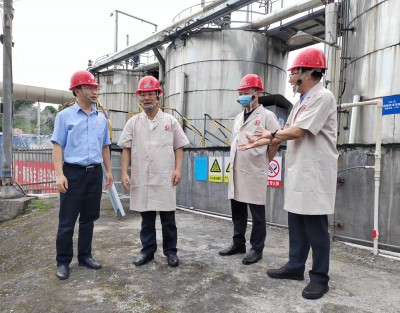 格式工廠省機電控股公司黨委副書記、總經(jīng)理董飛龍，黨委委員、副總經(jīng)理吳大文在永安雙華公�?.jpg