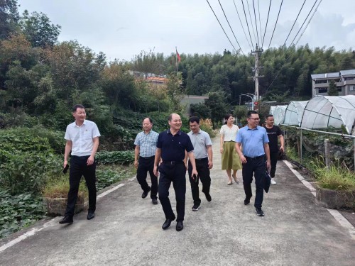 格式工廠福安黃曉志：圖為省機電控股公司黨委委員、副總經(jīng)理吳大文到福安市仙嶺村開展鄉(xiāng)村振興工作調(diào)�?(2).jpg