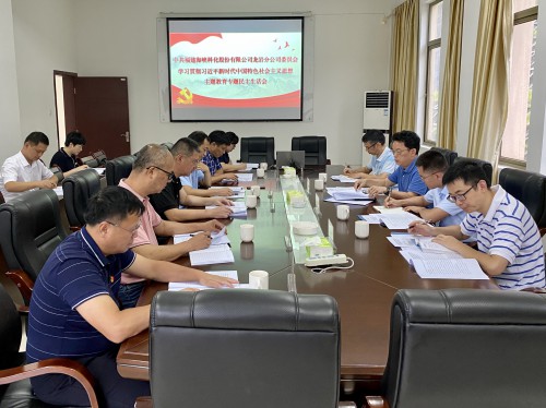 格式工廠龍巖分公�?吳瑤+龍巖分公司黨委召開(kāi)學(xué)習(xí)貫徹習(xí)近平新時(shí)代中國(guó)特色社會(huì)主義思想主題教育專題民主生活�?.jpg