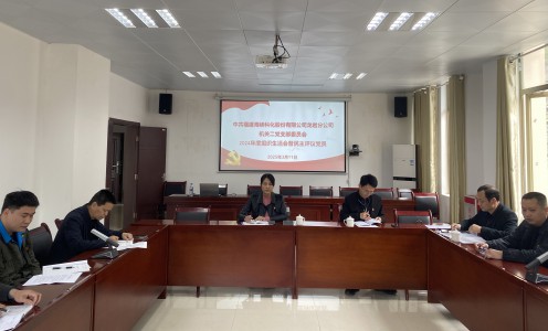 格式工廠龍巖分公司+張力燕+海峽科化黨委副書記、常務副總經(jīng)理陳志華參加指導掛鉤聯(lián)系黨支部2024年度組織生活會.jpg