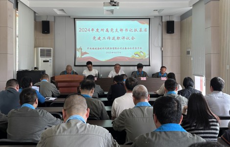 格式工廠黨支部書記述職評議會.jpg